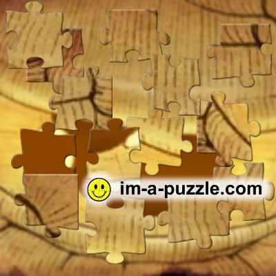 bc0000d520f6341 | I'm a Puzzle